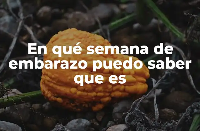 En Qué Semana de Embarazo Puedo Saber que es