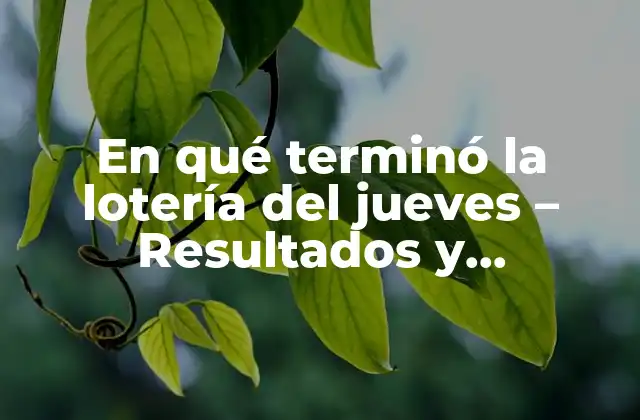 En Qué Terminó la Lotería Del Jueves – Resultados y Ganadores