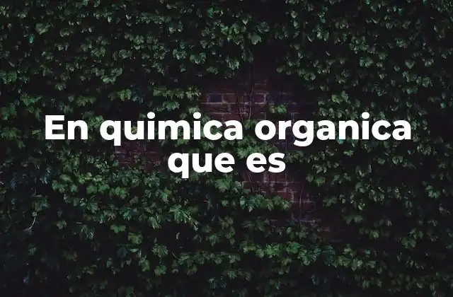 En Quimica Organica que es