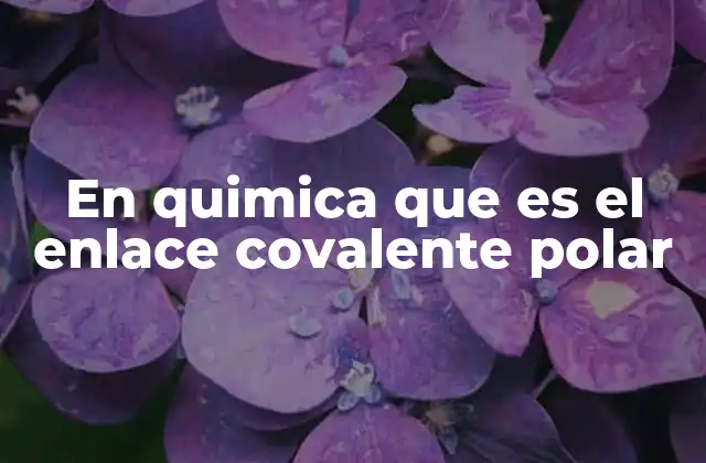 En Quimica que es el Enlace Covalente Polar 2 Características del enlace covalente polar