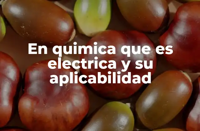 En Quimica que es Electrica y Su Aplicabilidad