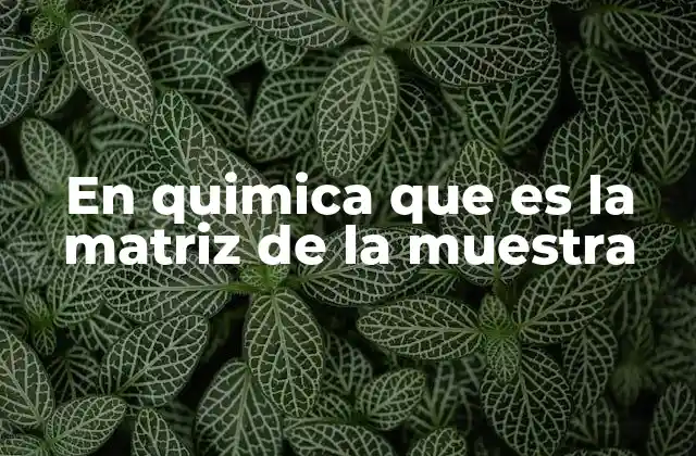 La importancia de la matriz en el análisis químico
