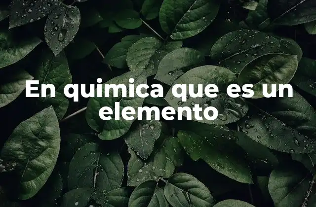 En Quimica que es un Elemento