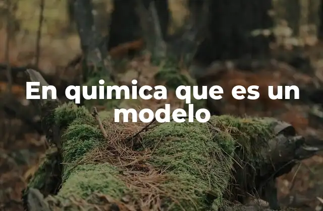 En Quimica que es un Modelo