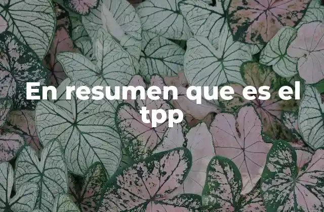 En Resumen que es el Tpp