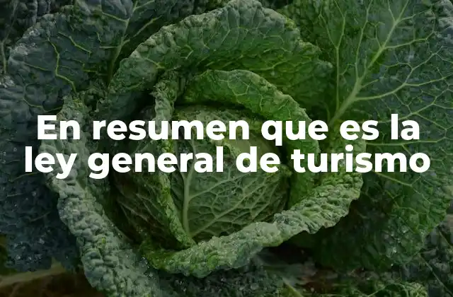 En Resumen que es la Ley General de Turismo