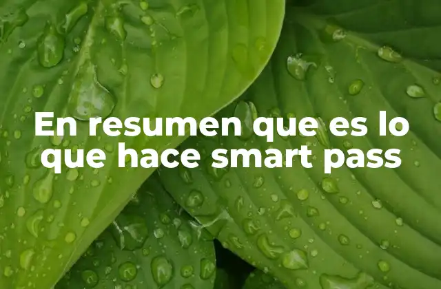 En Resumen que es Lo que Hace Smart Pass