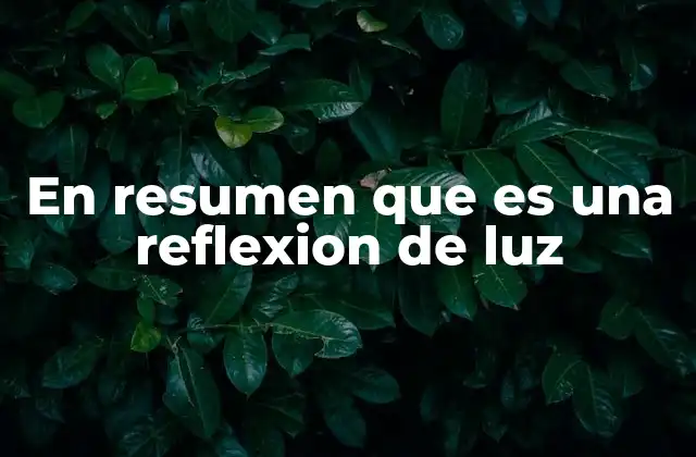 En Resumen que es una Reflexion de Luz