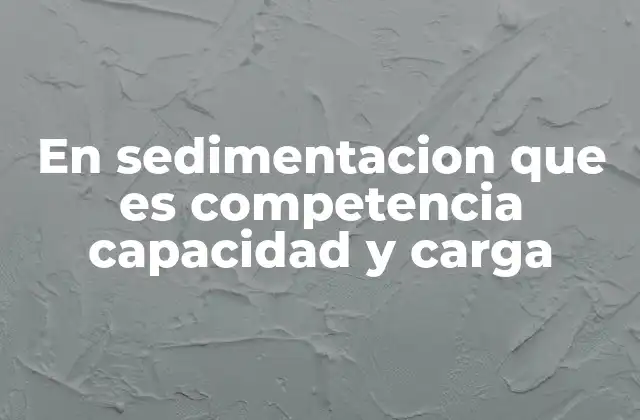 La interacción entre los procesos fluviales y los sedimentos transportados