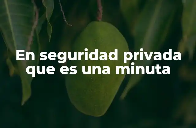 En Seguridad Privada que es una Minuta