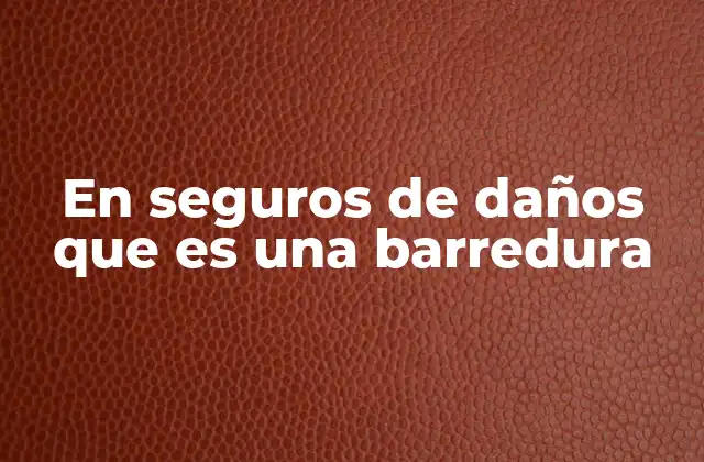 En Seguros de Daños que es una Barredura