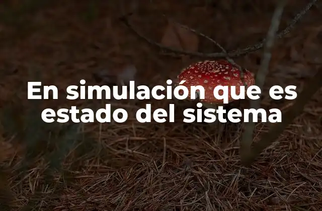 Importancia del estado del sistema en la modelación