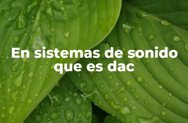 En Sistemas de Sonido que es Dac