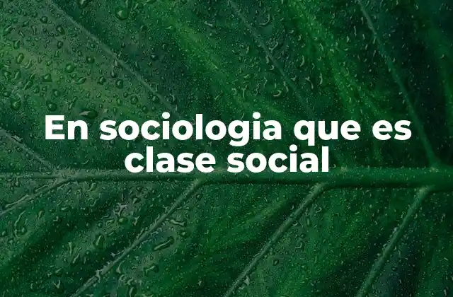 En Sociologia que es Clase Social