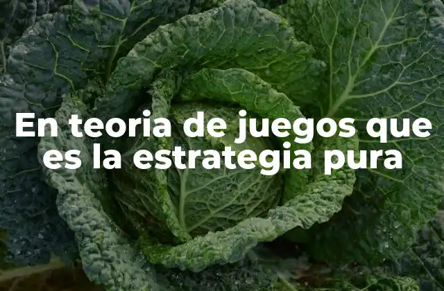 En Teoria de Juegos que es la Estrategia Pura