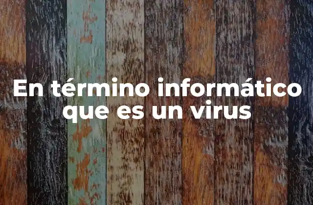 En Término Informático que es un Virus