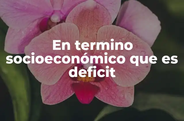 En Termino Socioeconómico que es Deficit