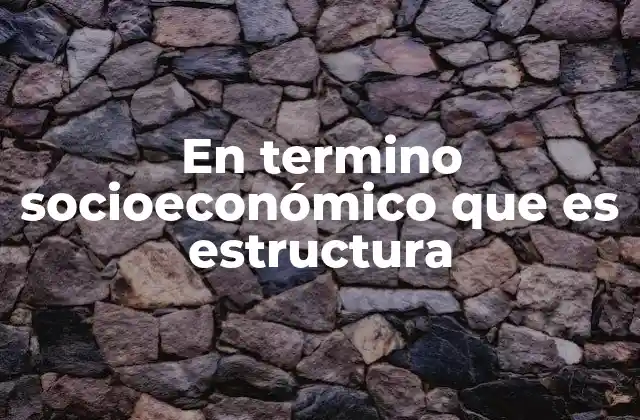 En Termino Socioeconómico que es Estructura