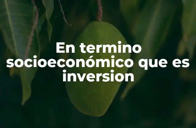 En Termino Socioeconómico que es Inversion 2 El papel de la inversión en el desarrollo económico