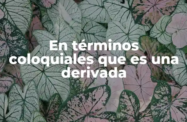 En Términos Coloquiales que es una Derivada