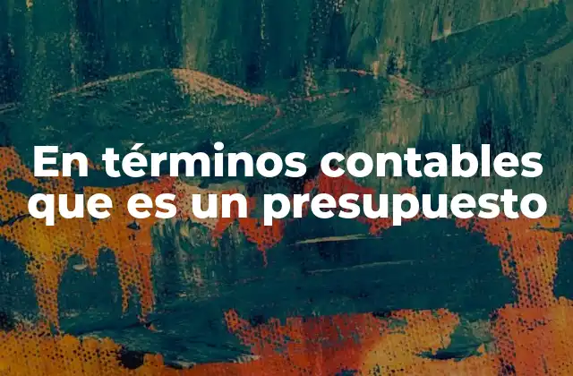 En Términos Contables que es un Presupuesto