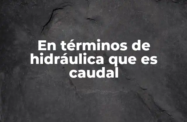 En Términos de Hidráulica que es Caudal 2 El caudal como parámetro esencial en el diseño de sistemas hidráulicos