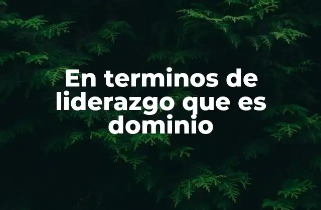 En Terminos de Liderazgo que es Dominio