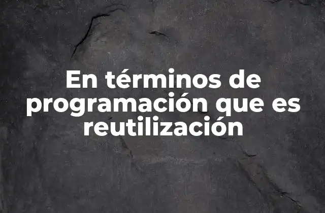 En Términos de Programación que es Reutilización