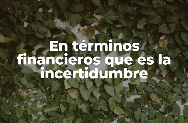 En Términos Financieros que es la Incertidumbre 2 La influencia de lo desconocido en la toma de decisiones financieras