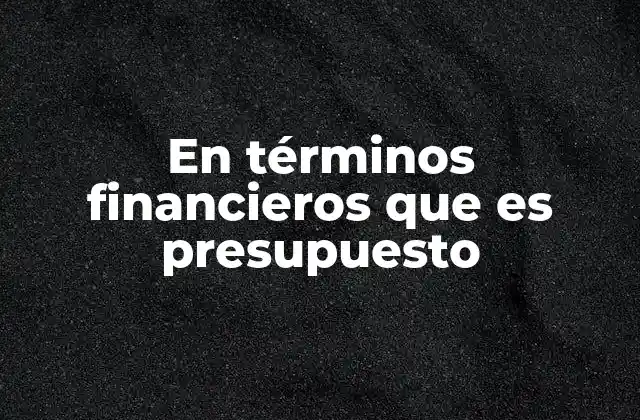 En Términos Financieros que es Presupuesto