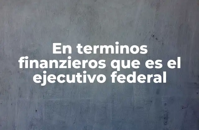En Terminos Finanzieros que es el Ejecutivo Federal