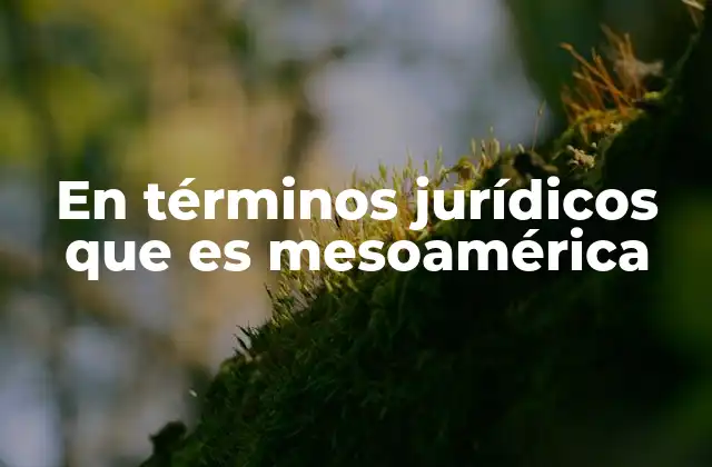 En Términos Jurídicos que es Mesoamérica