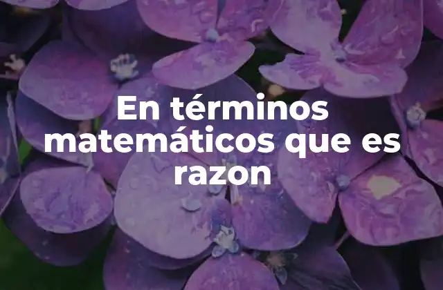 En Términos Matemáticos que es Razon