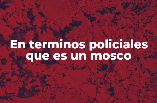 En Terminos Policiales que es un Mosco