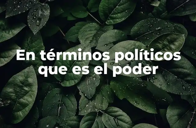 En Términos Políticos que es el Poder 2 El poder como mecanismo estructural en la organización política