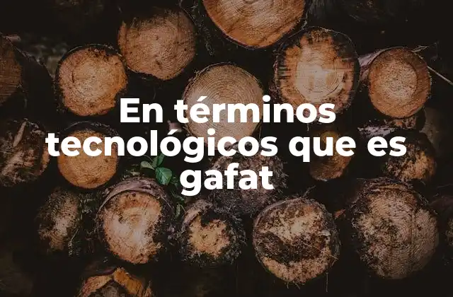 En Términos Tecnológicos que es Gafat