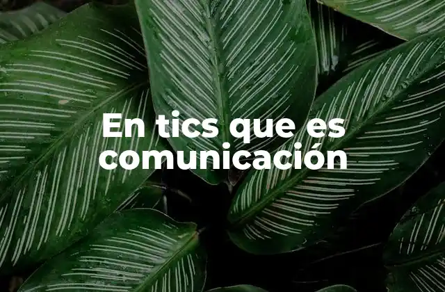 En Tics que es Comunicación