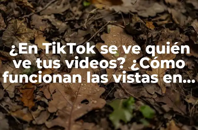 ¿en Tiktok Se Ve Quién Ve Tus Videos? ¿cómo Funcionan las Vistas en Tiktok?