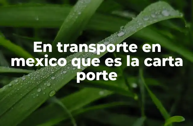 En Transporte en Mexico que es la Carta Porte
