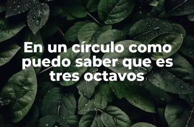 En un Círculo como Puedo Saber que es Tres Octavos 2 La importancia de la visualización en el aprendizaje de fracciones