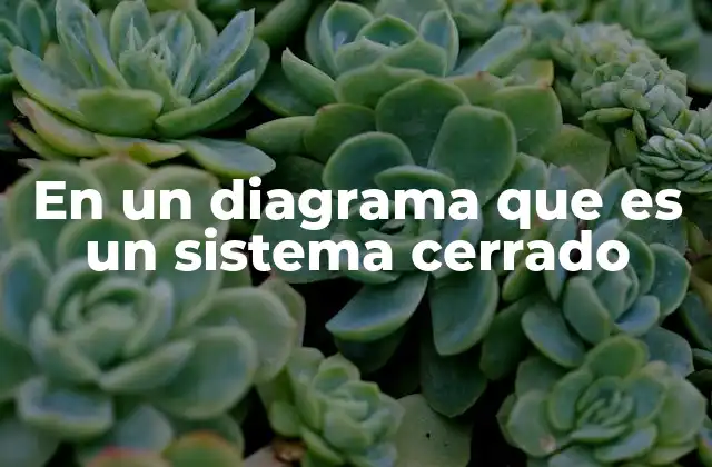 En un Diagrama que es un Sistema Cerrado