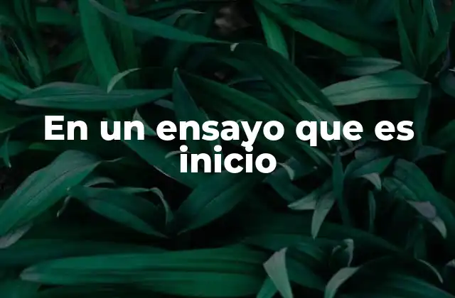 En un Ensayo que es Inicio