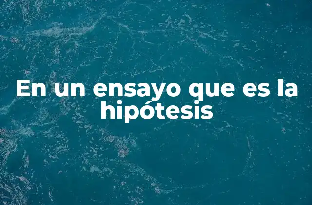 En un Ensayo que es la Hipótesis