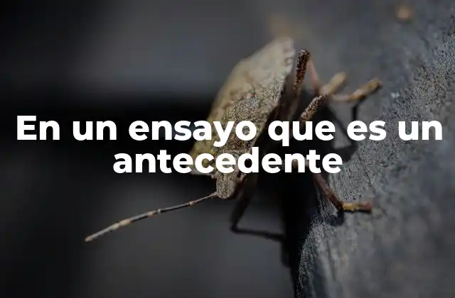 En un Ensayo que es un Antecedente