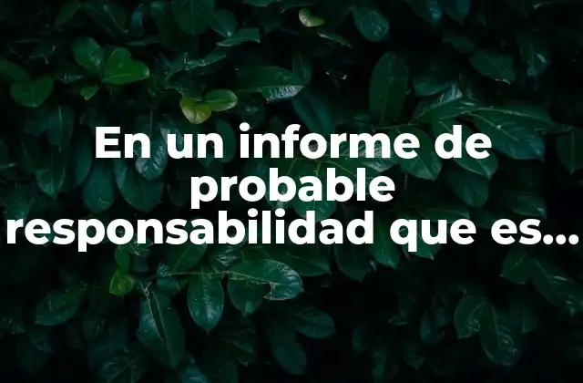 En un Informe de Probable Responsabilidad que es el Ai