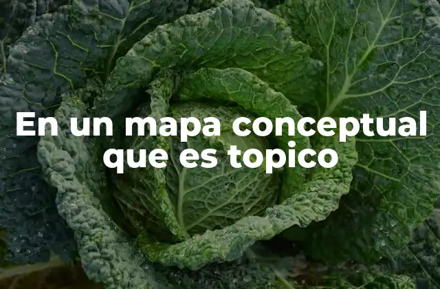 En un Mapa Conceptual que es Topico