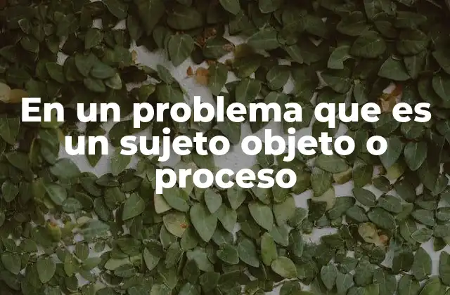 En un Problema que es un Sujeto Objeto o Proceso