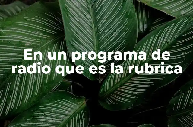 En un Programa de Radio que es la Rubrica