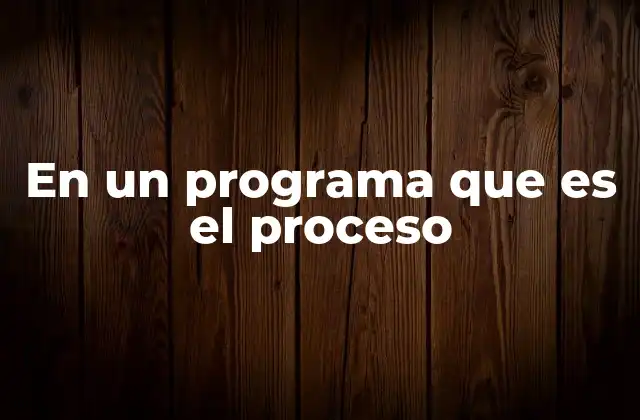 En un Programa que es el Proceso 2 La relación entre programas y procesos