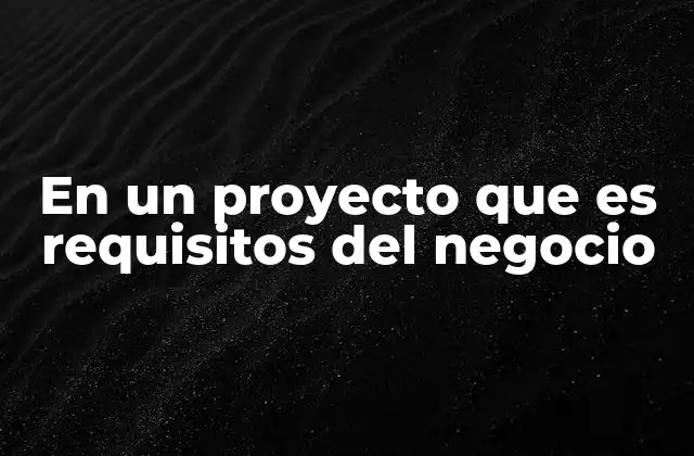 En un Proyecto que es Requisitos Del Negocio